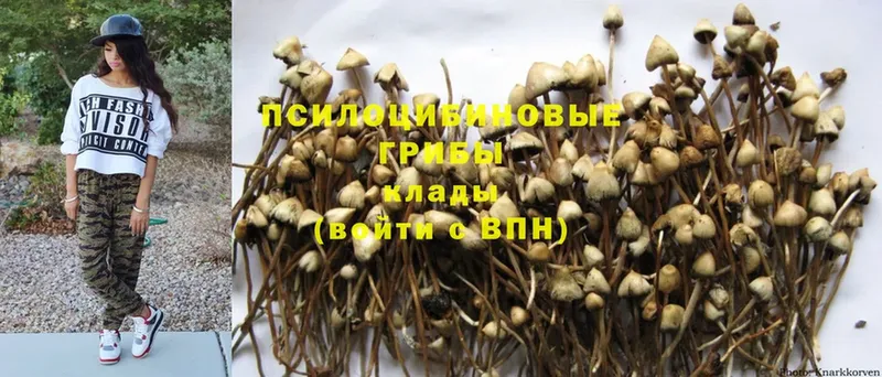 Галлюциногенные грибы Magic Shrooms  Краснокамск 